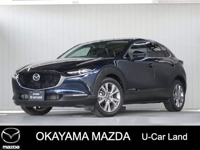 CX-302.0 20S プロアクティブ