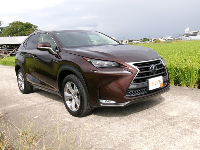 NX300h バージョンL 4WD