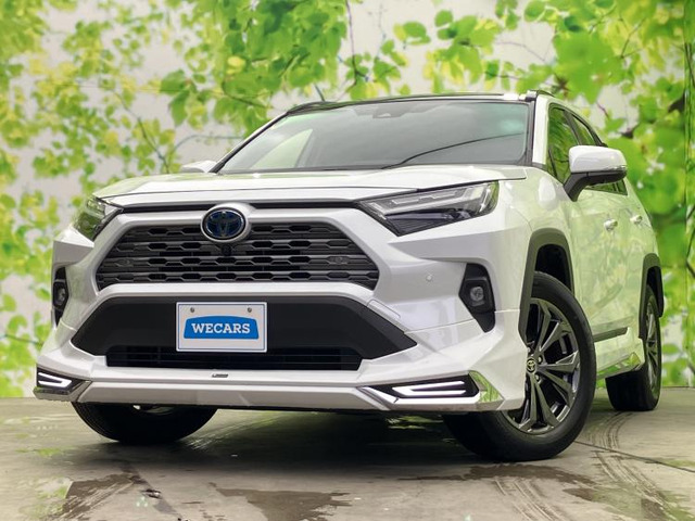 RAV42.5 ハイブリッド G E-Four 4WD
