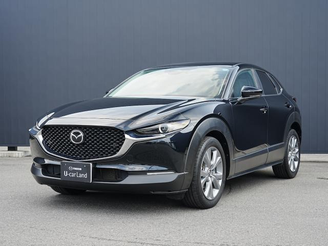 CX-302.0 20S