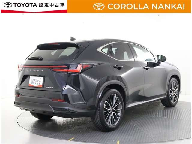 NX