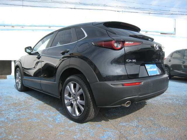 CX-302.0 20S