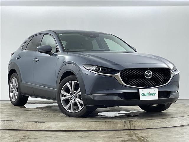 CX-301.8 XD Lパッケージ