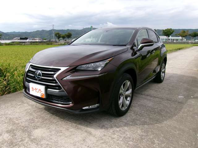 NX300h バージョンL 4WD