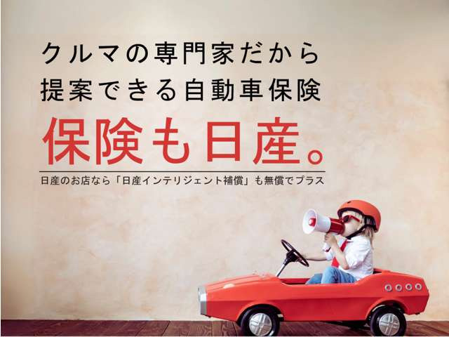リーフe+ G