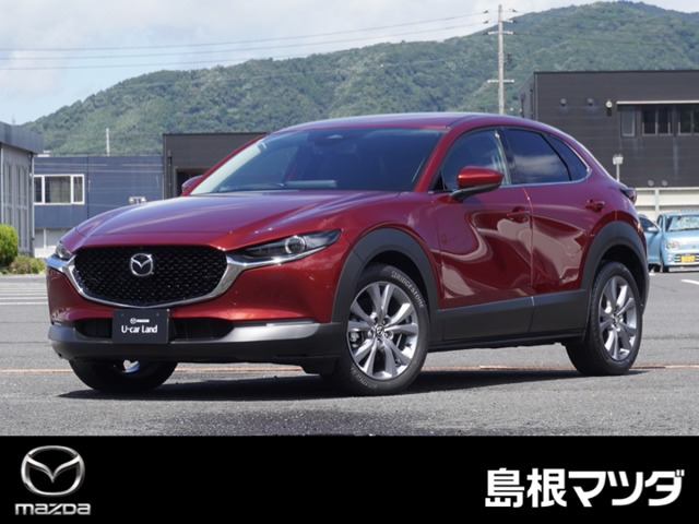 CX-302.0 20S ツーリング 4WD