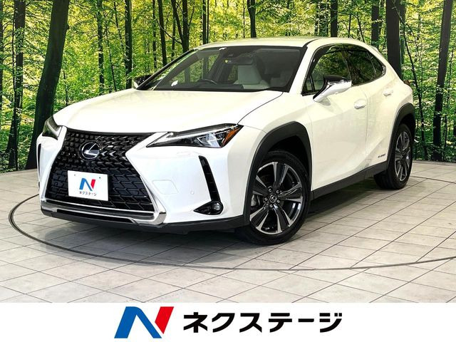 UX250h バージョンL