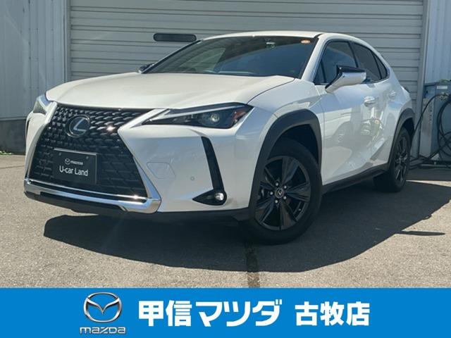 UX250h バージョンC
