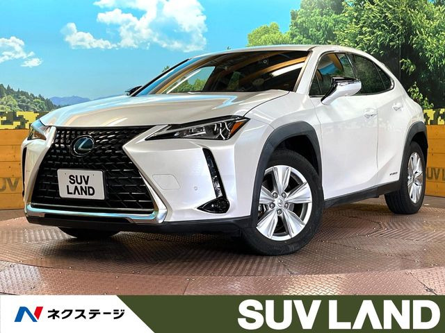 UX250h バージョンC