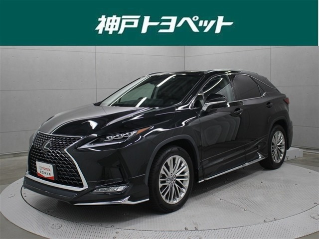 RX300 バージョンL