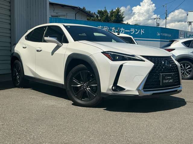 UX250h バージョンC