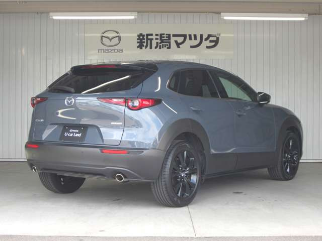 CX-302.0 20S