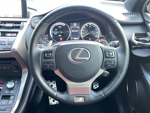 NX300h Fスポーツ