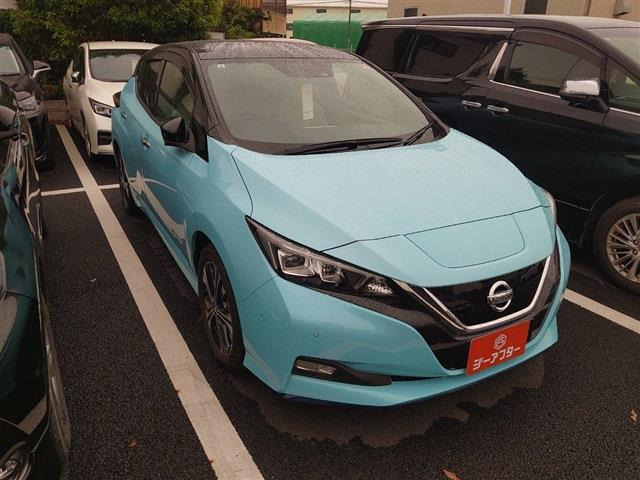 リーフe+ G