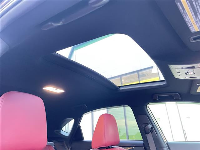 NX300h Fスポーツ