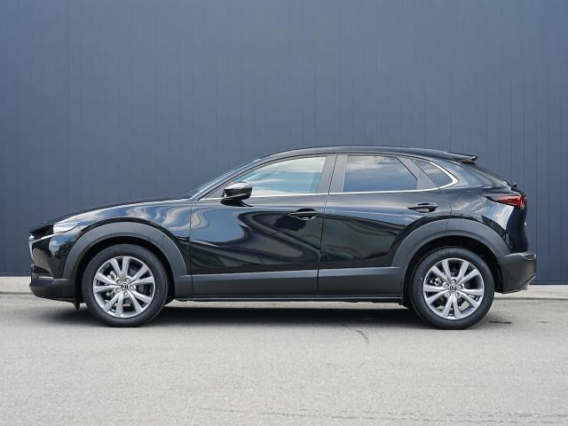 CX-302.0 20S