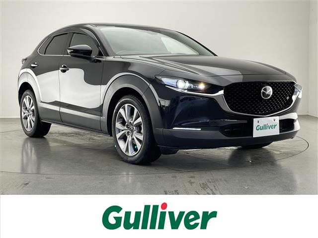CX-301.8 XD Lパッケージ