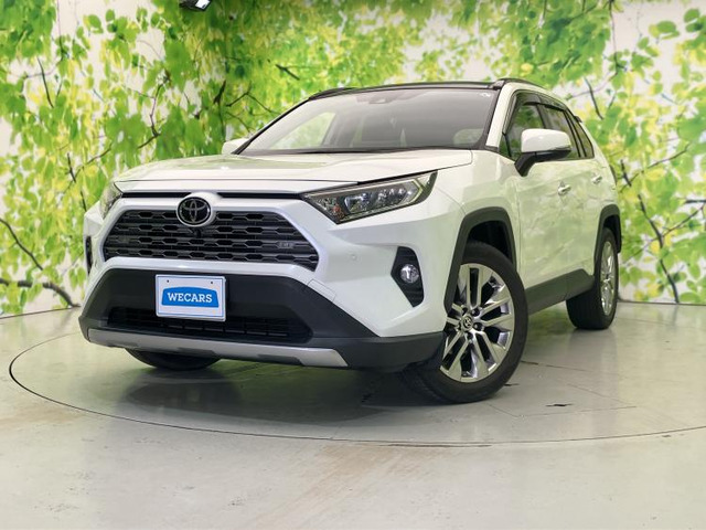 RAV42.0 G Zパッケージ 4WD