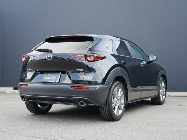CX-302.0 20S