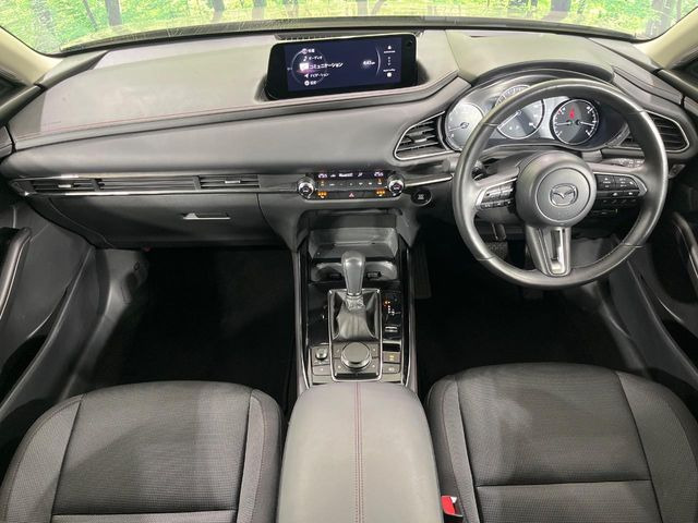 CX-302.0 20S ブラックトーンエディション