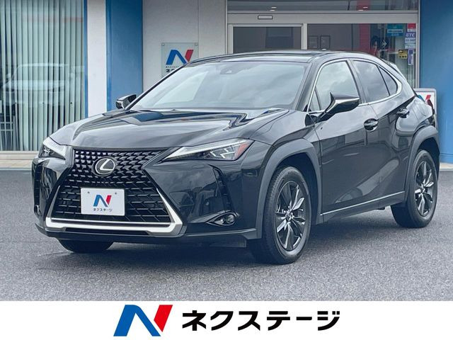 UX250h バージョンC