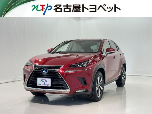 NX300h Iパッケージ