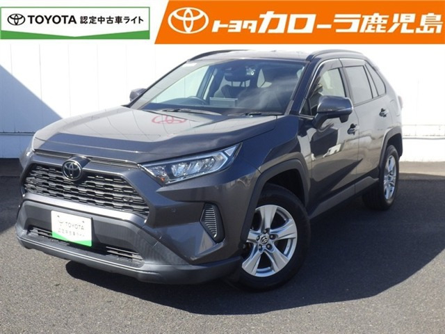 RAV42.0 X