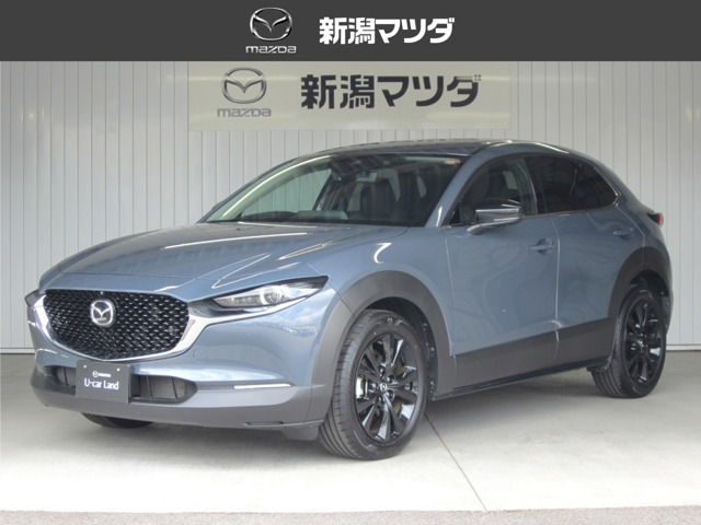 CX-302.0 20S