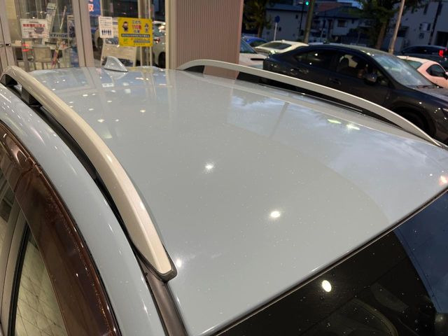 XV
