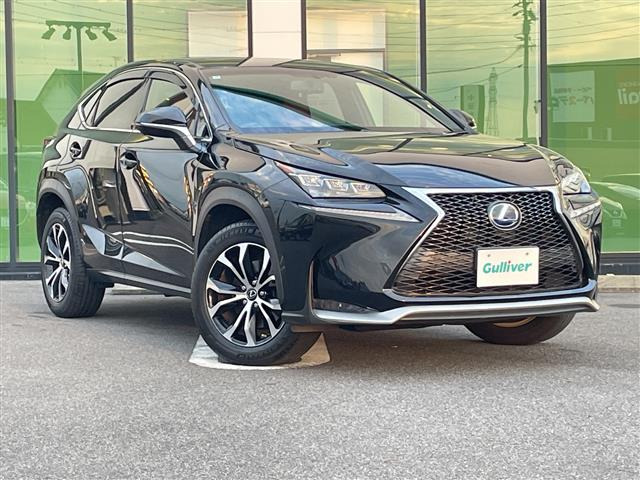 NX300h Fスポーツ
