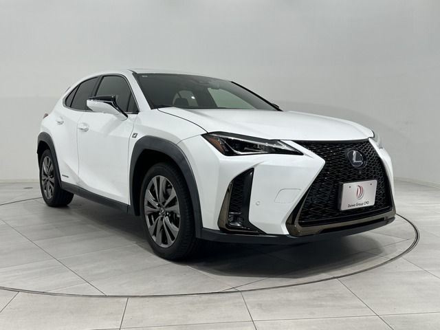 UX250h Fスポーツ