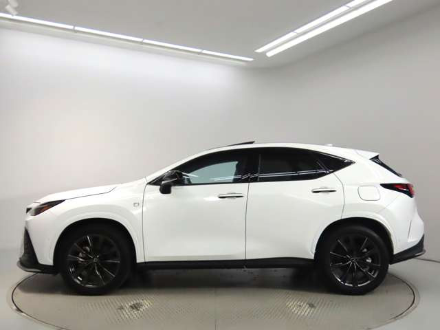 NX350h Fスポーツ