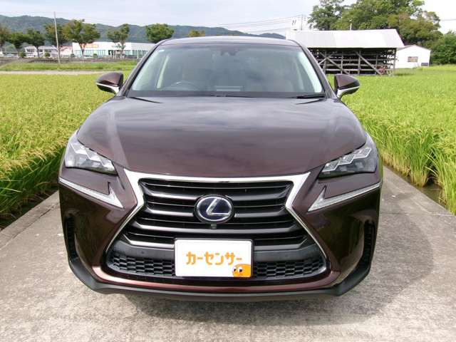 NX300h バージョンL 4WD