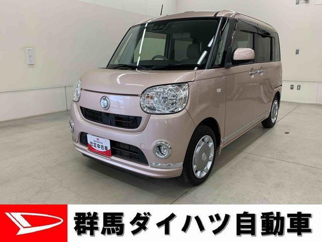 ムーヴキャンバスX リミテッド メイクアップ SAIII