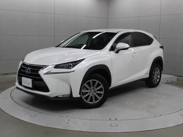 NX300h Iパッケージ