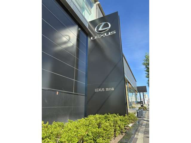 LM500h エグゼクティブ 4WD