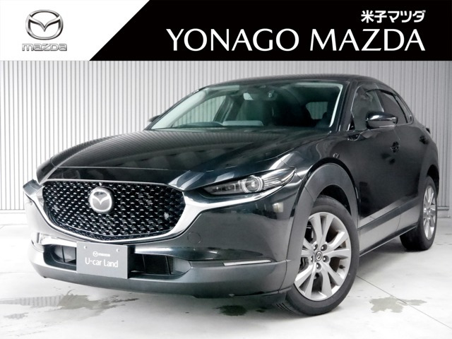 CX-302.0 20S プロアクティブ