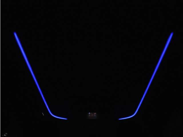 夜間に室内を照らしてくれるルームライトです