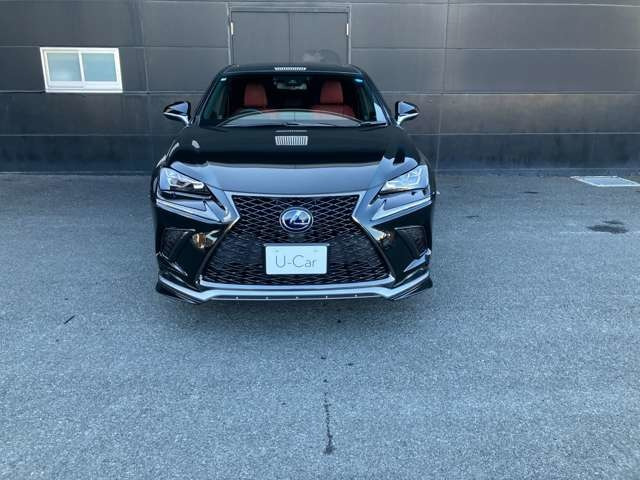 NX300h Fスポーツ