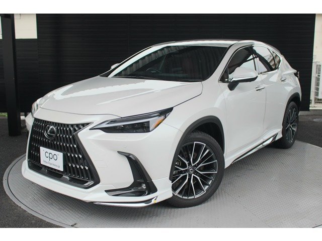 NX350h バージョンL
