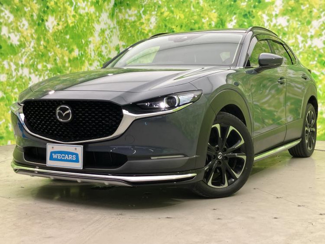 CX-302.0 20S Lパッケージ