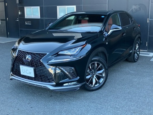 NX300h Fスポーツ