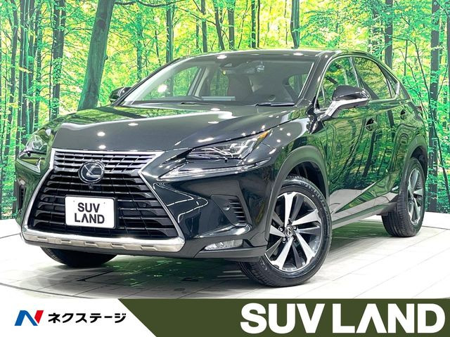 NX300h