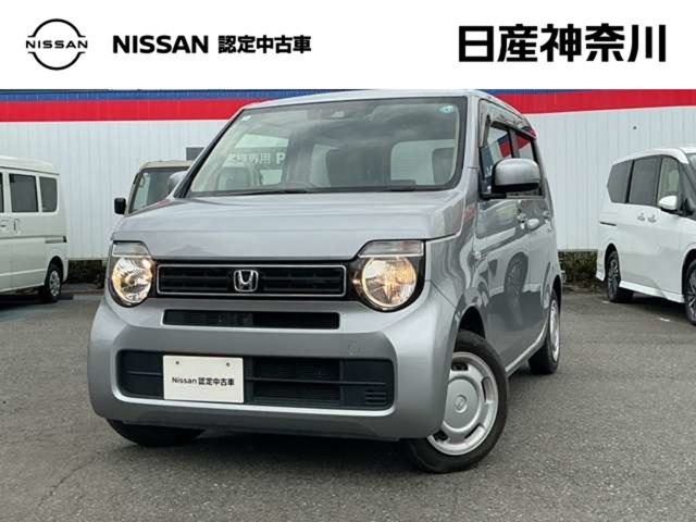 N-WGNG