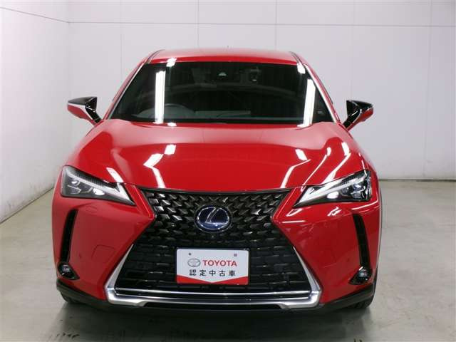 UX250h バージョンC