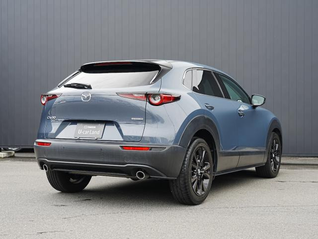 CX-30