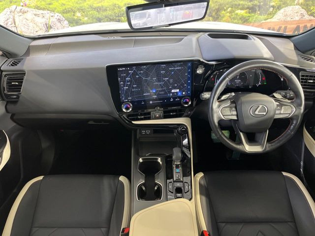 NX250 バージョンL