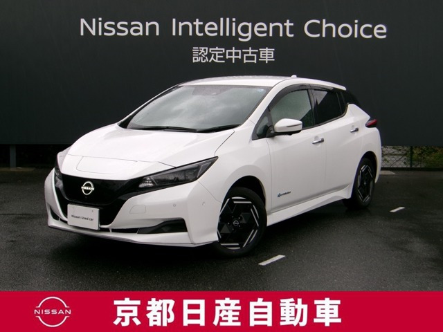 リーフe+ X