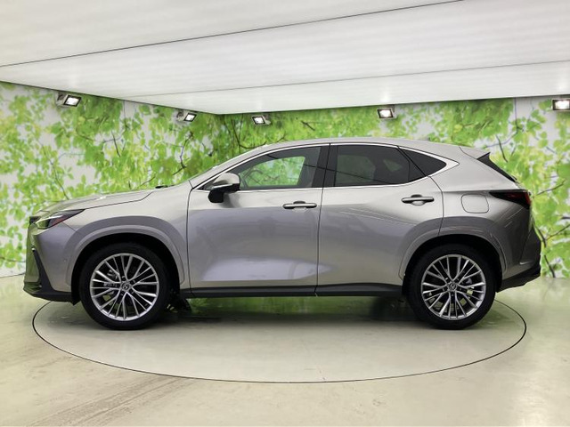 NX350h バージョンL