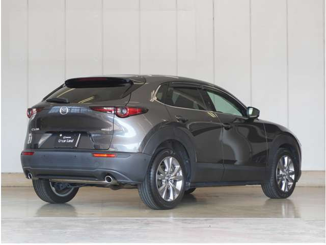 CX-301.8 XD Lパッケージ